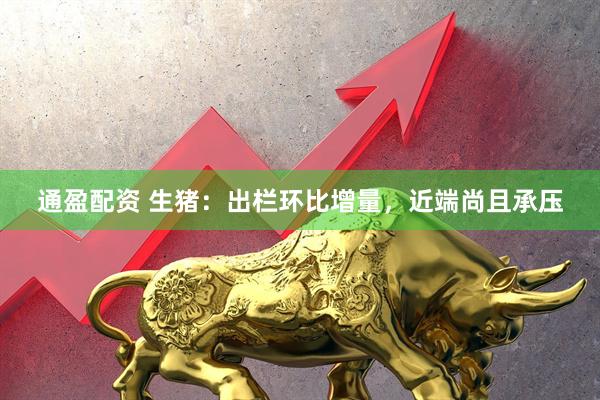 通盈配资 生猪：出栏环比增量，近端尚且承压