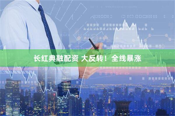长红典融配资 大反转！全线暴涨